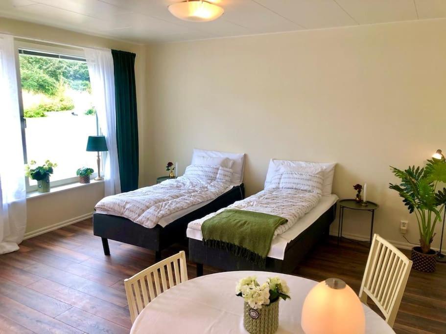 פאלקנברג Cozy Modern Studio Apartment Stay מראה חיצוני תמונה